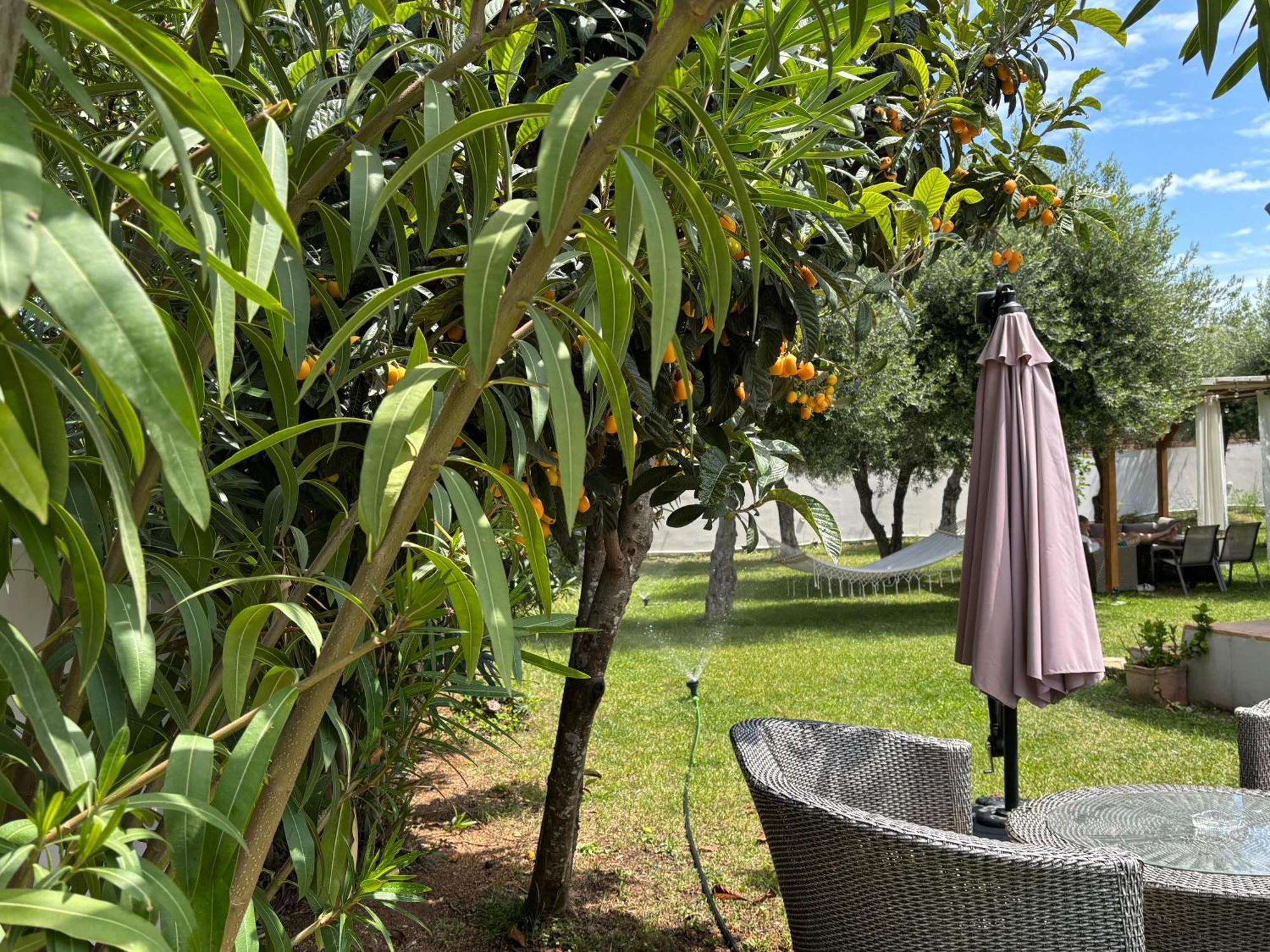 Sirios Apartamento Acharavi  Exterior foto